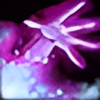 Improved Faerie Fire