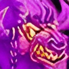 Survival of the Fittest